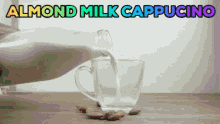 Almond Milk Cappucino GIF - Almond Milk Cappucino Drinks GIFs