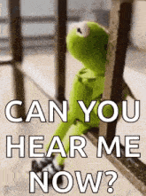 kermit the frog is sitting on a railing looking out a window and says `` can you hear me now ? ''