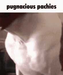 Pachycephalosaurus Pugnacious Pachies GIF - Pachycephalosaurus Pugnacious Pachies Kaperoo GIFs