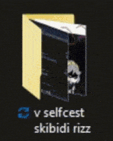 a folder with a picture of a skull and the words v selfcest skibidi rizz