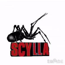 a drawing of a black ant with the word scylla on it