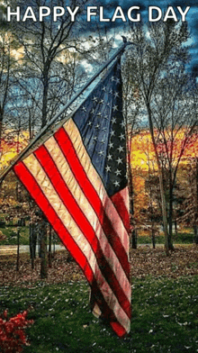 a large american flag is waving in the wind in a park