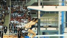 Diving Olympics GIF - Diving Olympics Spinning GIFs