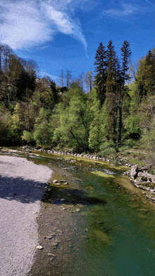 a river surrounded by trees and rocks with a blue sky in the background