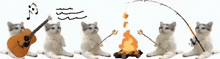 Cat Campfire GIF - Cat Campfire Marshmallow GIFs