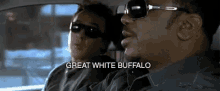 Great White GIF - Great White Buffalo GIFs
