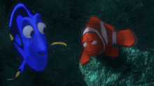 Dory Nemo GIF - Dory Nemo GIFs