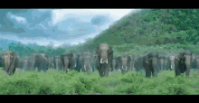 Arya Run GIF - Arya Run Elephant GIFs