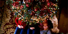 Greys Anatomy Christmas Tree GIF - Greys Anatomy Christmas Tree Under The Tree GIFs