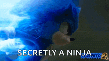 Running Sonic GIF - Running Sonic Sonic The Hedgehog2 GIFs