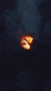 a large fire is burning in the dark with a lot of flames