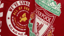 Liverpool Flag GIF - Liverpool Flag Windy GIFs