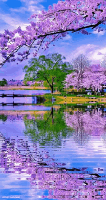 Purple Water GIF