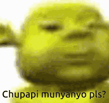 Baby Shrek Chupapi Munyanyo GIF - Baby Shrek Chupapi Munyanyo Shrek GIFs