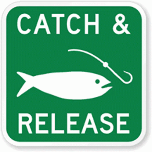 catch and release gif