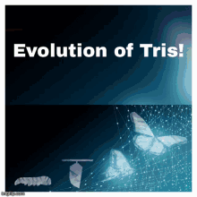 Tris Triscuit GIF