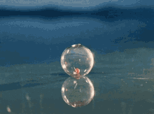 Beach Bubble GIF - Beach Bubble Burst GIFs