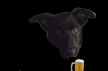 Vyoanimals Beerdog GIF - Vyoanimals Beerdog Rollopes GIFs