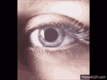 Blue Vampire Eye Compulsion GIF - Blue Vampire Eye Compulsion The Vampire Diaries GIFs