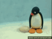 Pingu Noot GIF - Pingu Noot Egg GIFs