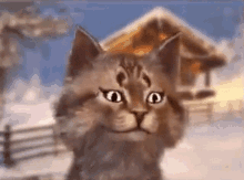 Meow Gravycatman GIF - Meow Gravycatman Cat GIFs