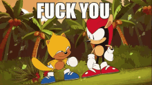 Fuck You Sonic The Hedgehog GIF
