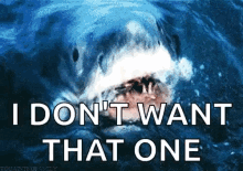 I Dont Want That One Shark Week GIF - I Dont Want That One Shark Week Jaws GIFs