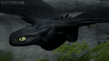 toothless httyd httyd1 otherkin dragon