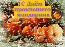 a greeting card with mandarin oranges and the words kapwing