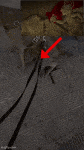 a red arrow points to a picture of a statue of a demon