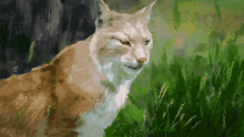 Lynx Animal GIF - Lynx Animal Big Cat GIFs