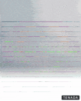 a gray background with purple and green stripes and the word tenada underneath