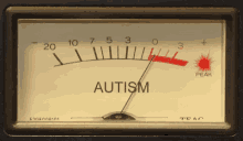 Meter Autism GIF - Meter Autism Peak GIFs