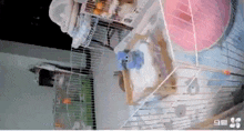 a hamster is sitting inside of a cage with a pink cage .