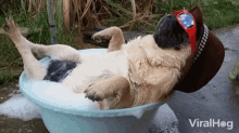 Relax Chillin GIF - Relax Chillin Just GIFs