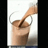 Fuzzball Chocolate Milk GIF