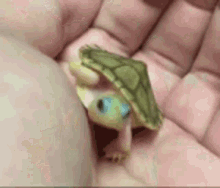 smol cute baby turtle tiny
