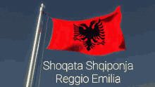 flag bandiera flamuri albania