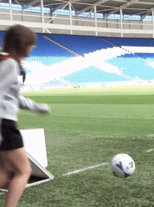 a person kicking a soccer ball on a field