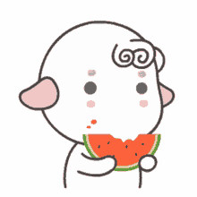 gaudi cutie watermelon eating