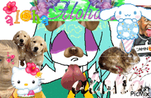 a collage of images with the word aloha in the center