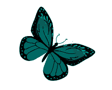 butterfly teal monarch green butterfly freedom