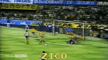Zico Brazil GIF - Zico Brazil Flamengo GIFs