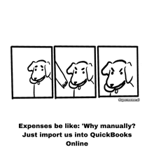 Quickbooks GIF - Quickbooks GIFs