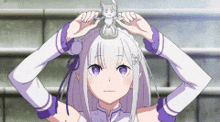 a girl with purple eyes is holding a cat on her head