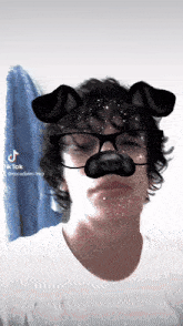 a man wearing glasses and a dog mask with tiktok written on the bottom right