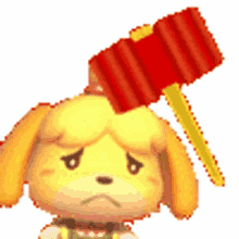 isabelle crossing