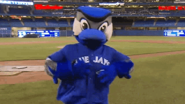 Ace,Toronto Blue Jays.  Mascot, Toronto blue jays, Blue jays