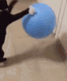 GIF