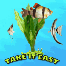 Take It Easy Taking It Easy GIF - Take It Easy Taking It Easy Just Relax GIFs